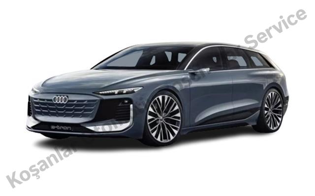 Antalya Audi Servisi