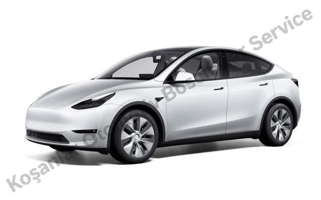 Tesla Özel Servis